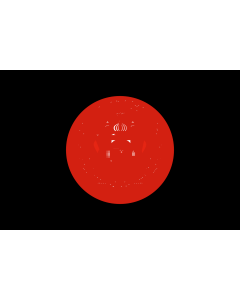Flag: Standard of the President of Afghanistan
