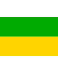 Flag: Dasnice municipality