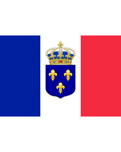 Flag: A proposed flag of France
