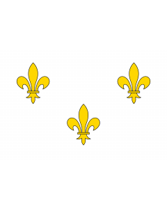Flag: The  White  Royal Banner of France or  Bourbon Flag  was used in New France