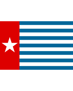 Flag: Unofficial Morning Star flag