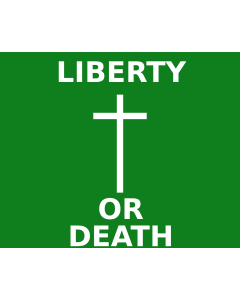 Flag: Carried by rebels at battle of Arklow