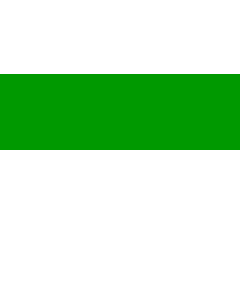 Flag: Tonk