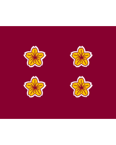 Flag: Standard of the Vice Minister of Defense of Japan