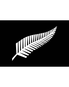 Flag: Silver fern