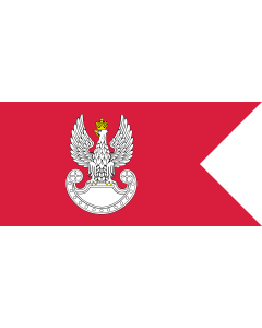 Flag: Polish Ground Forces flag. Adopted in 1993