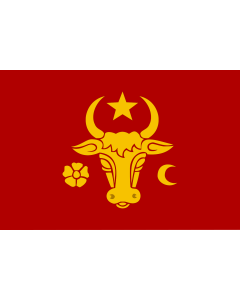 Flag: Contemporary reconstruction