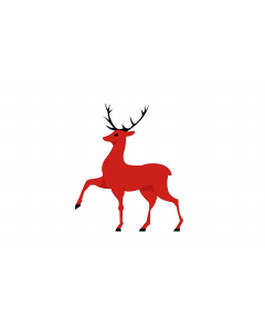 Flag: Nizhny Novgorod