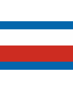 Flag: Trenčín Region