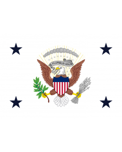 Flag: Vice President of the United States