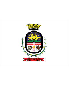 Flag: Cerro Largo Department