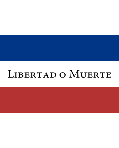 Flag: Treinta y Tres