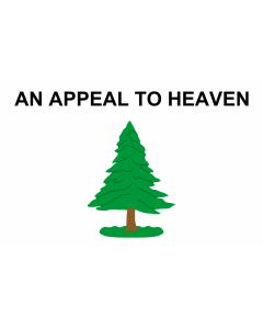 Flag: An Appeal to Heaven Flag  also called the Pine Tree Flag