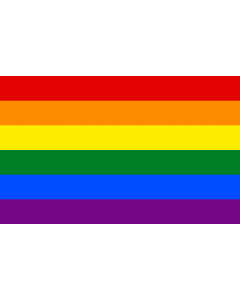 Flag: Rainbow flag. Symbol of gay pride